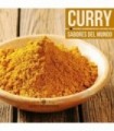 Curry Indio Artesano